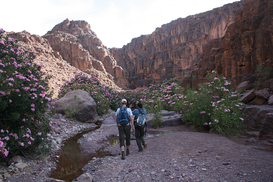 5341_Saghro - Wandeling door oleanderkloof.jpg